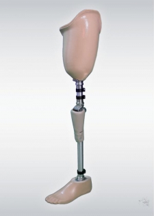 Proteza de coapsa modulara